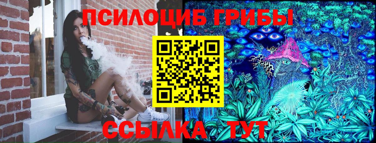 Галлюциногенные грибы GOLDEN TEACHER  Вход с VPN  купить  сайты  Лесозаводск 